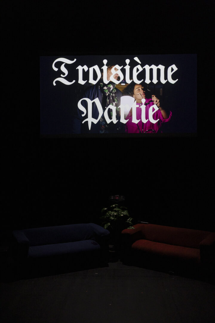 169 – Mme Bovary – Voyez-Vous (Vinciane Lebrun)_1488