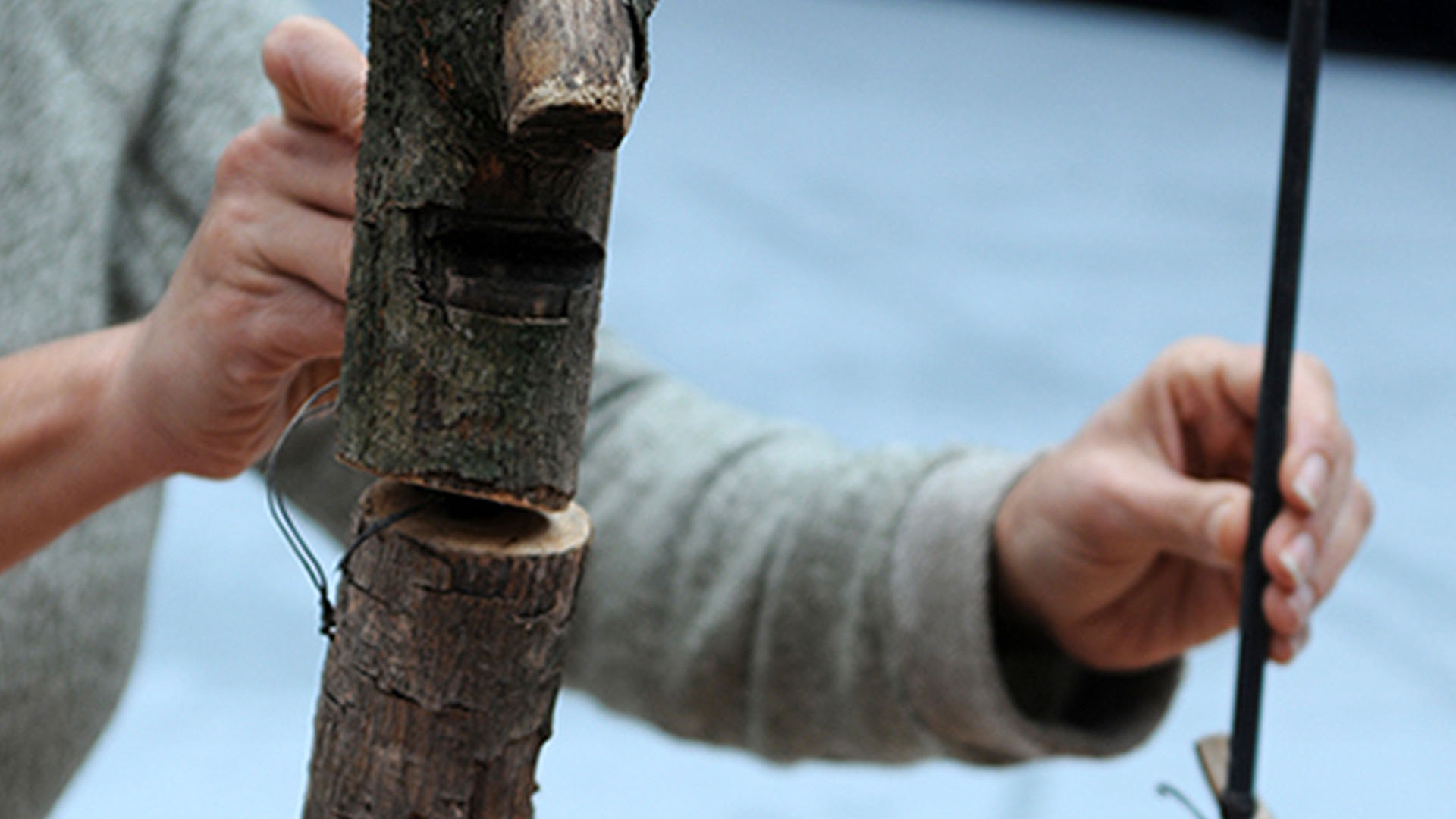 L’HOMME QUI PLANTAIT DES ARBRES